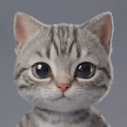 Gatito Club