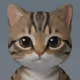 Gatito On Base