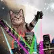 Gato Loco Collection