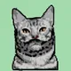 Gatos pixel