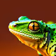 Gecko Ninjas