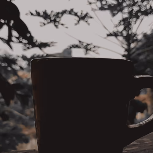 Gelas Kopi V4