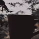 Gelas Kopi V4
