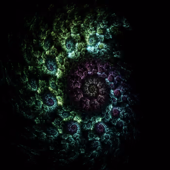 Gemma Spiralis