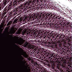 アイテム メディア プレースホルダー