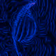 genesis.ai - old V3