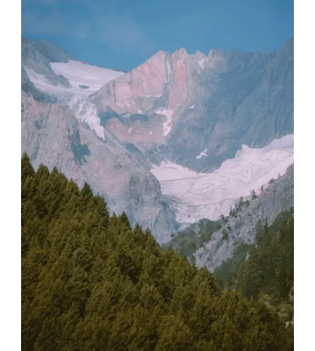 Genesis of paradise - old