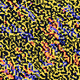 GENmosaic