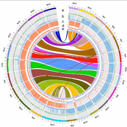 Genomes