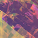 Geometric Loops