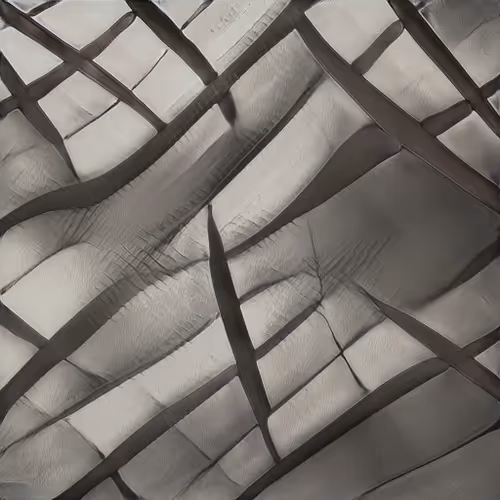 GeometricMorphosis