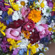 Georgian flowers - old