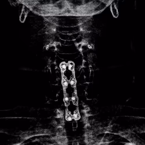 Ghost_Duck #368346738