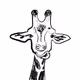 Gifi Giraffe Collection