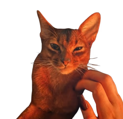 gladcatgable