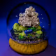 Glass Globes