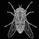 Glitch Bugs