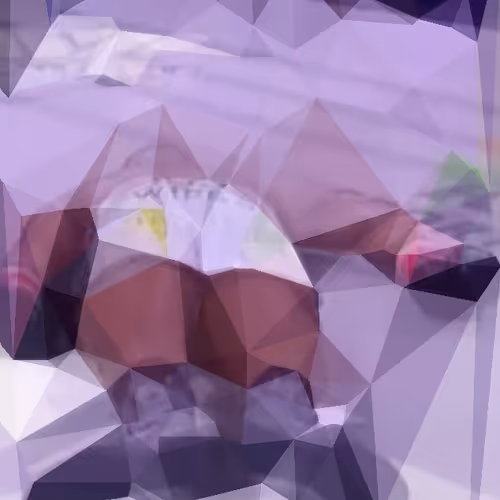 Glitched Tyron Woodley