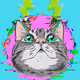 Glitchy Kitty