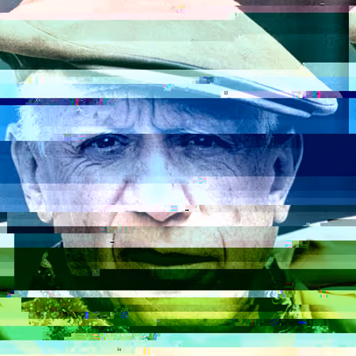 Glitchy Portraits