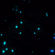 Glowing Particles by Tibix - old
