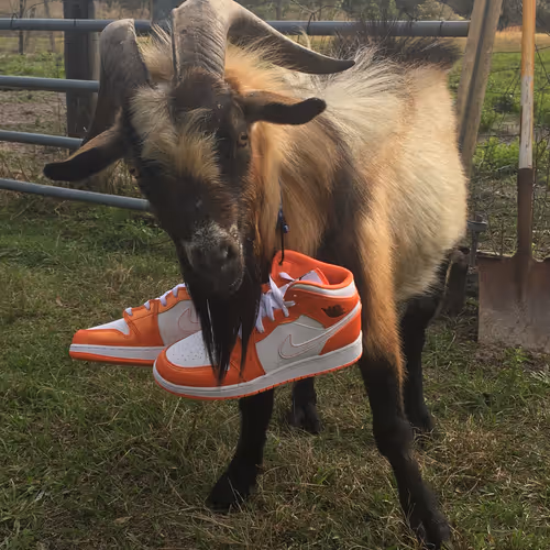 GOAT SNEAKERS