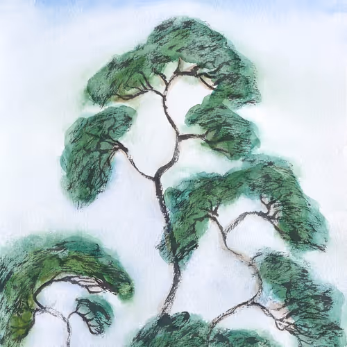 Goguryeo pine tree