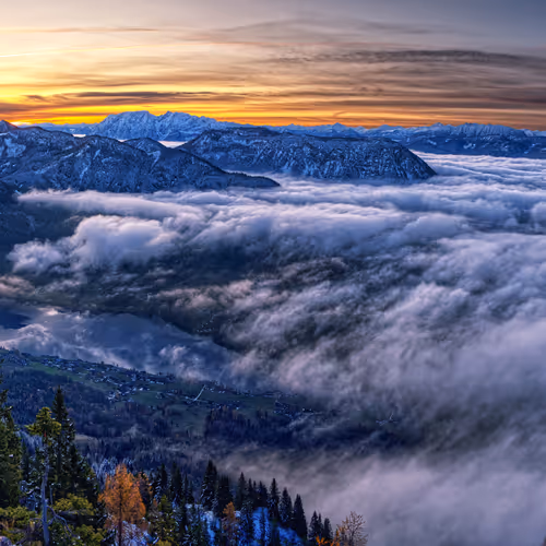 Funky Flyer l Meka collection - old