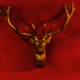 Golden Buck