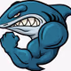 Golden Crypto Sharks