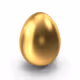 The Golden Egg Project