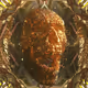 Golden Glimpses