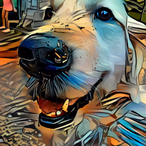 The Golden Retriever - old