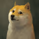 Good Boy Doge