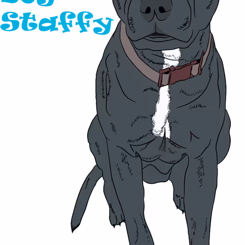 Good Boy Staffy