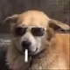 GoodBoys000