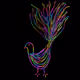 pheasant1 - old