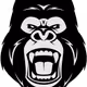 Gorilla Faces