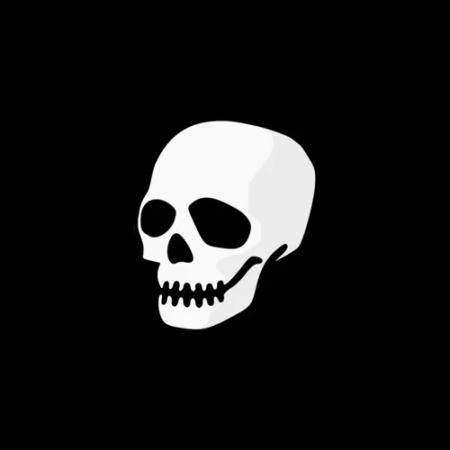 Skull Gothic Collections