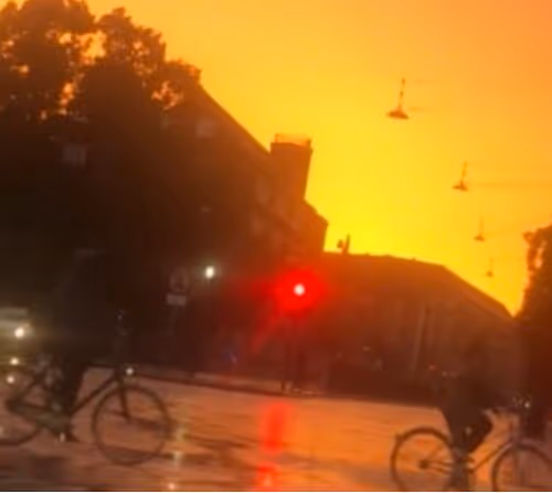 Goxcelman Collection