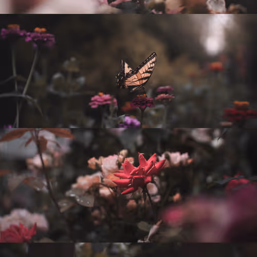 Grandfather's Garden