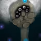 Grandma monster Ter NFT - old