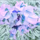 Grandma's Bougainvilleas