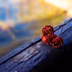 Gratitude Cards - old - old - old