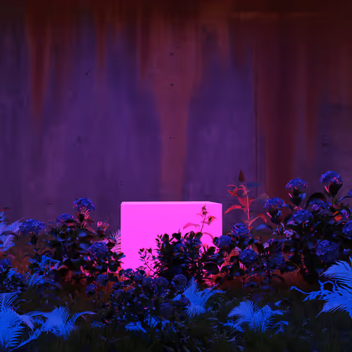 Graveyard of the living