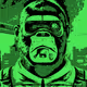 Green Army Commander