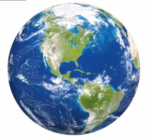 Green Plants Collection