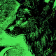 Green Monster Warrior