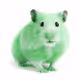 Green hamster in the crypto