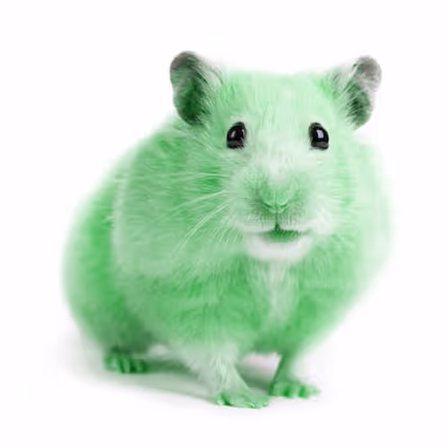 Green hamster in the crypto